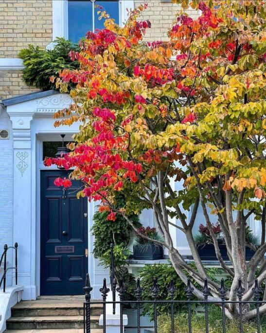 Chelsea Posh Apartment London Eksteriør bilde